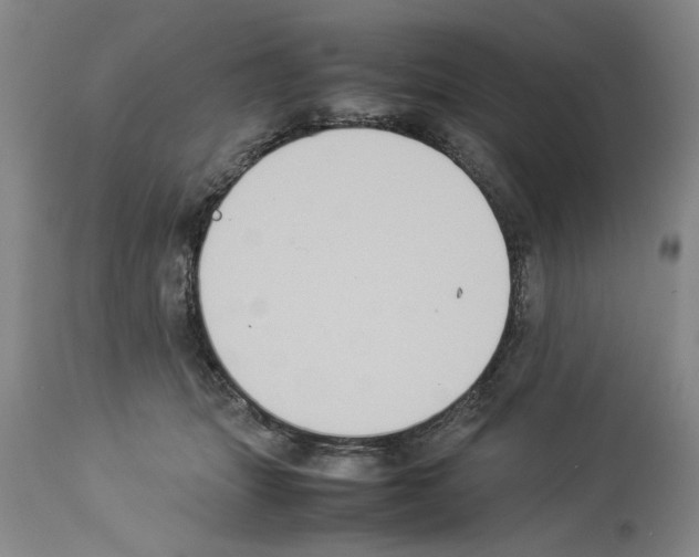 X0000113950463200911061307