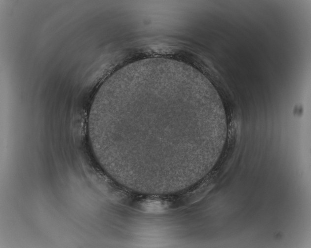 X0000113950464200911061307