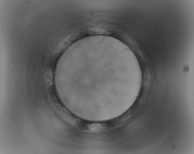 X0000113950465200911061307