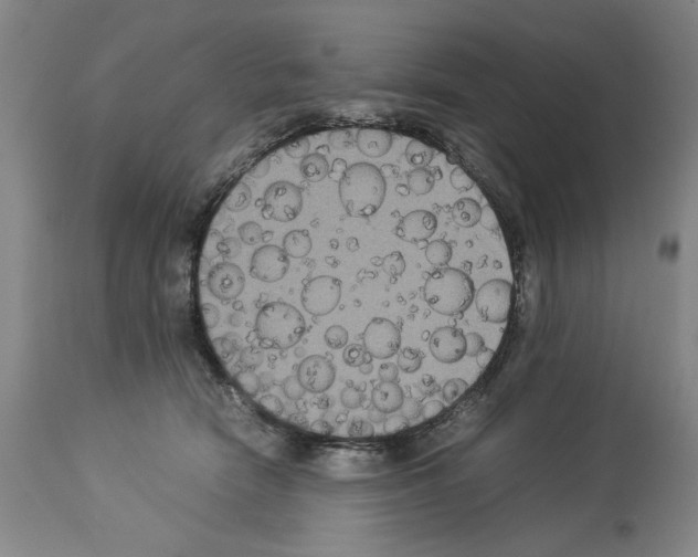 X0000113950466200911061307