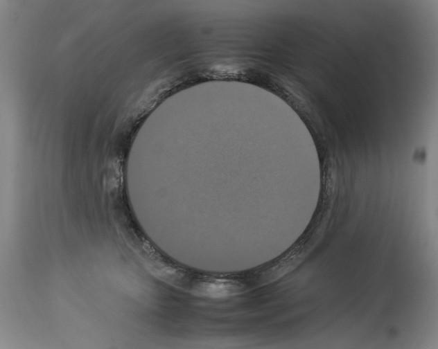 X0000113950467200911061307