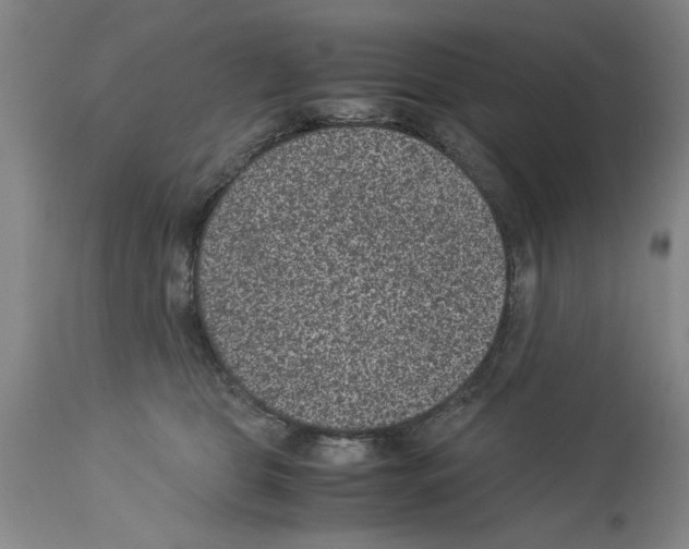 X0000113950469200911061307