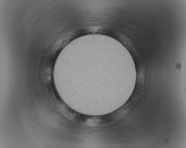 X0000113950470200911061307