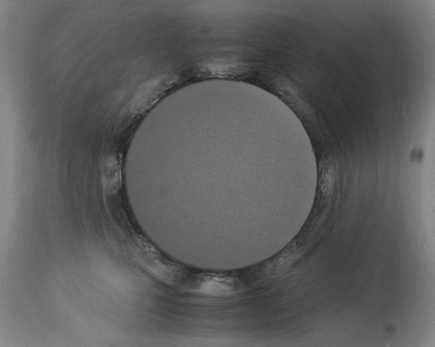 X0000113950471200911061307