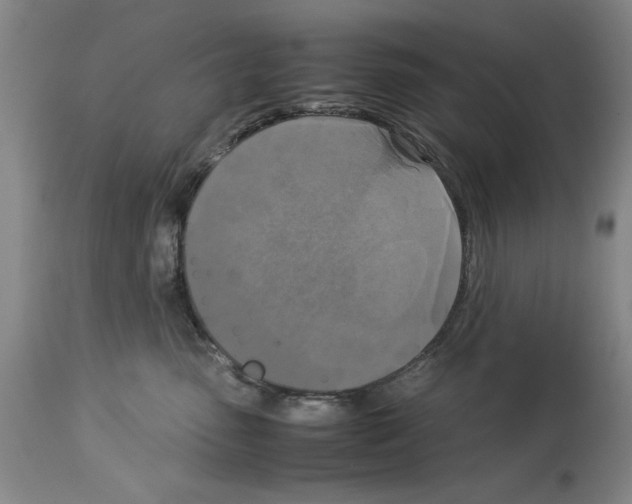 X0000113950475200911061307