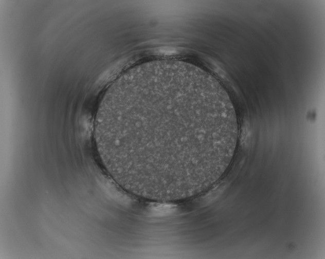 X0000113950476200911061307