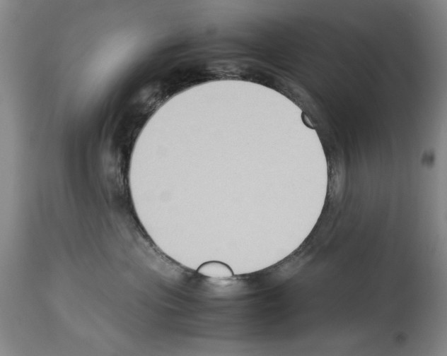 X0000113950477200911061307