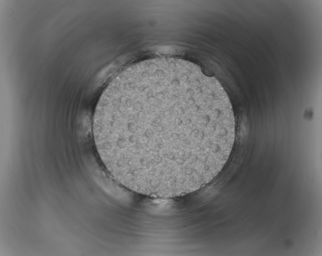 X0000113950478200911061307