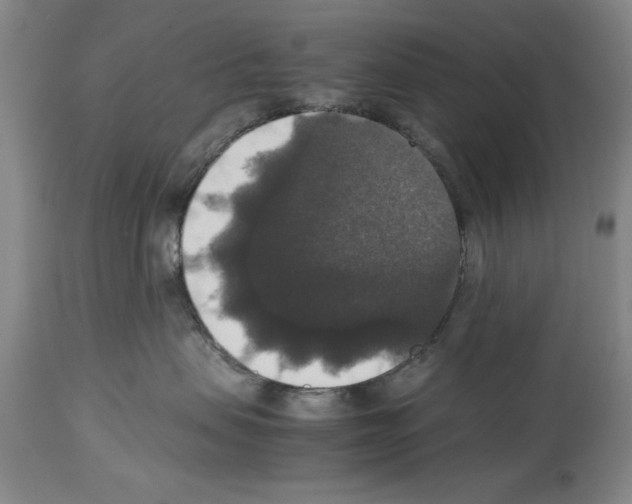 X0000113950479200911061308