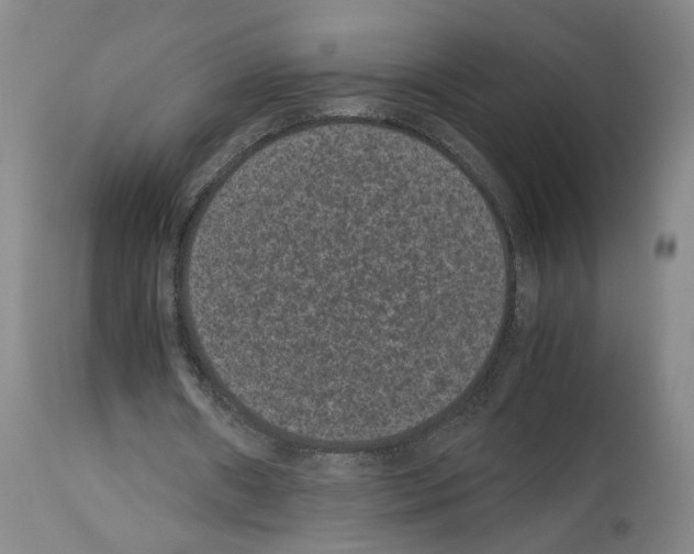 X0000113950482200911061307