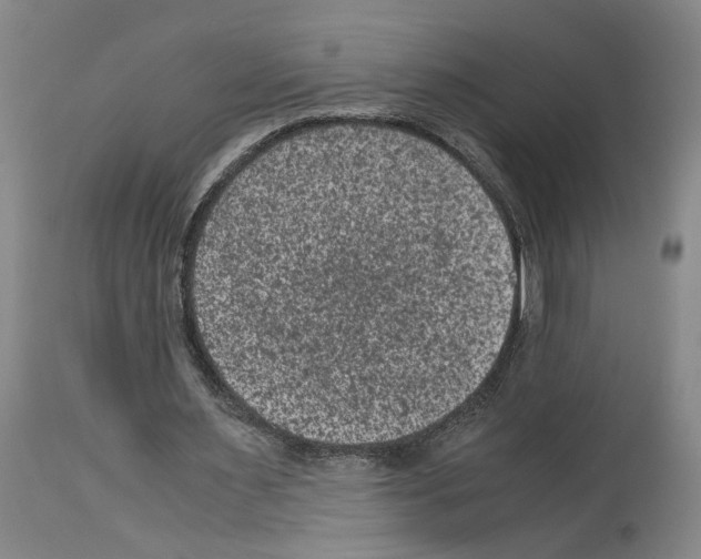 X0000113950483200911061307