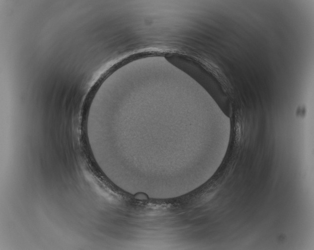 X0000113950484200911061307