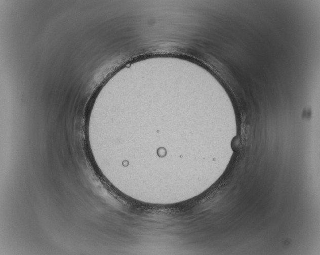 X0000113950485200911061307