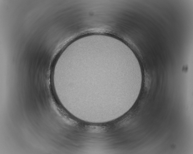 X0000113950486200911061307