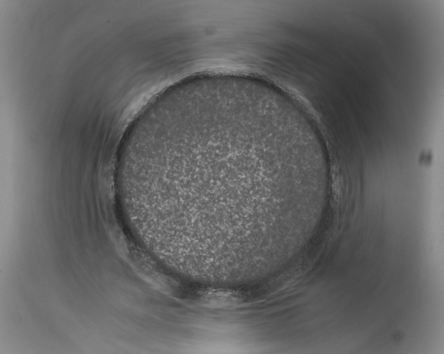 X0000113950487200911061307