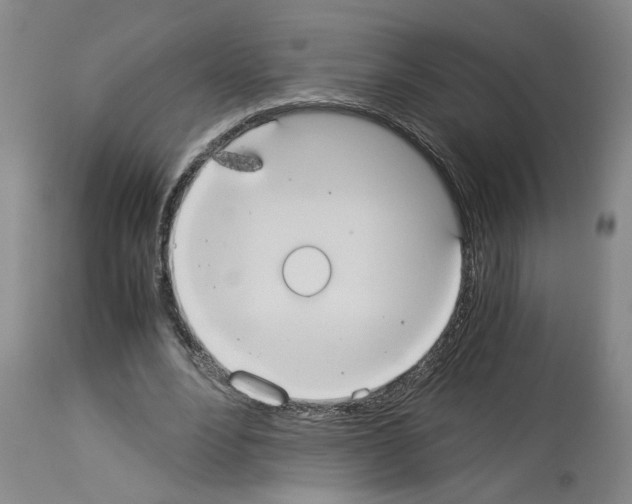 X0000113950488200911061307
