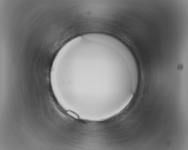 X0000113950489200911061307