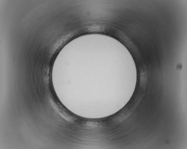 X0000113950490200911061307