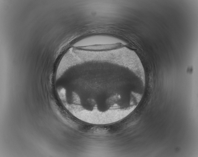 X0000113950491200911061307