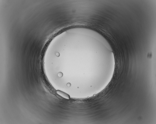 X0000113950492200911061307