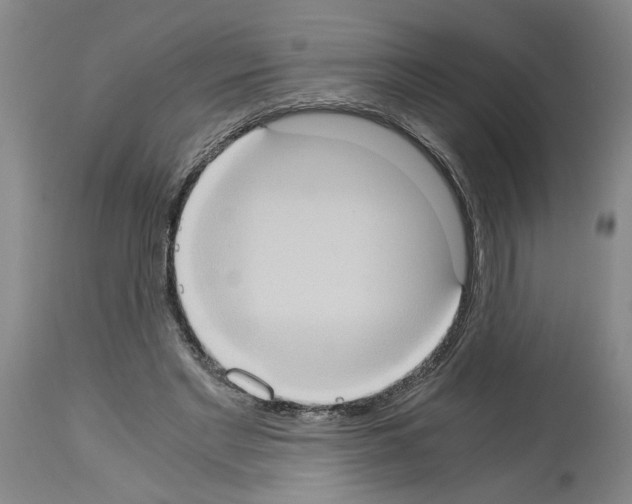 X0000113950493200911061307