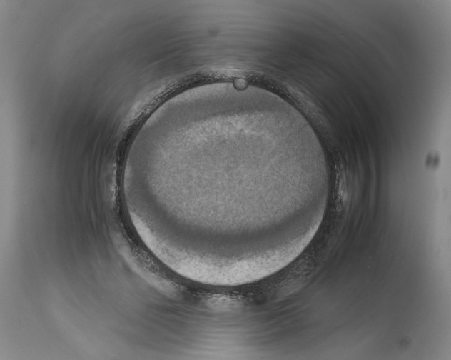 X0000113950494200911061307