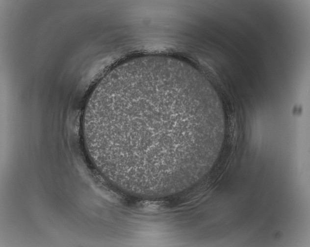 X0000113950495200911061307