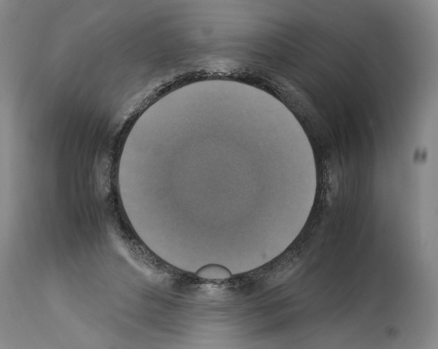 X0000113950496200911061307