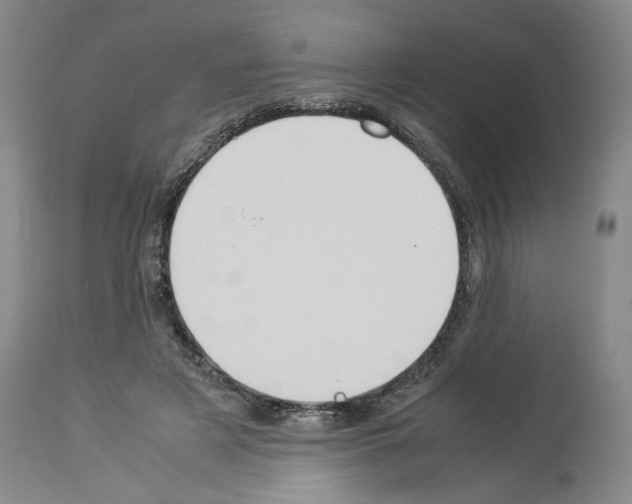 X0000113950497200911061307