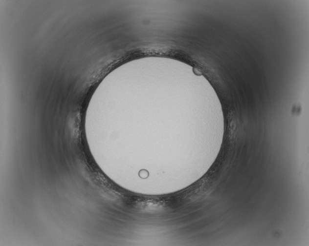 X0000113950498200911061307