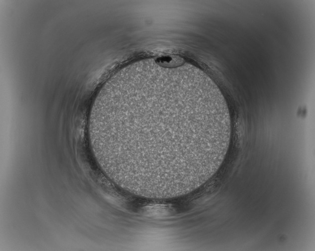 X0000113950499200911061307