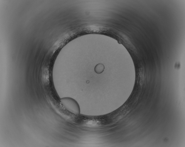 X0000113950500200911061307