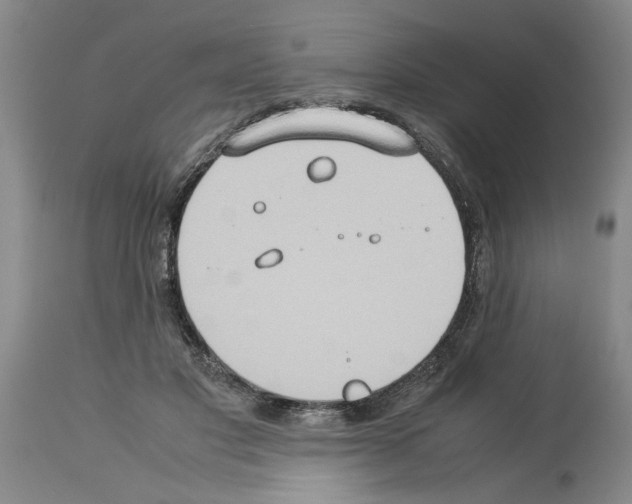 X0000113950501200911061307