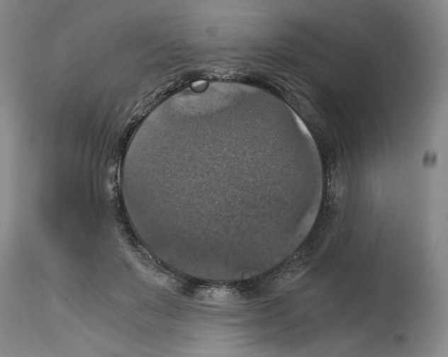 X0000113950503200911061307