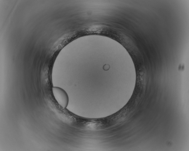 X0000113950504200911061307