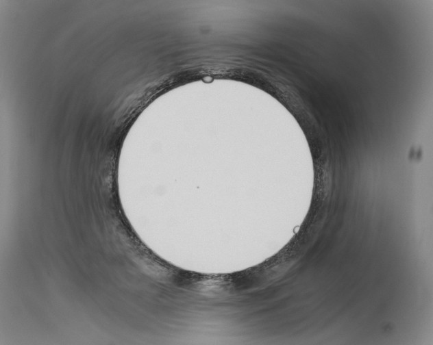 X0000113950505200911061307