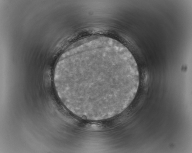 X0000113950506200911061307