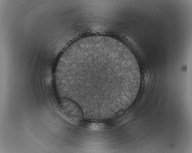 X0000113950508200911061306