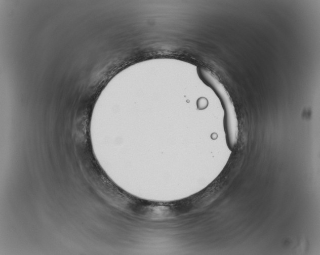 X0000113950509200911061306