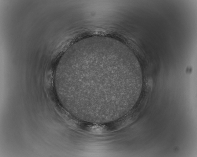 X0000113950511200911061306