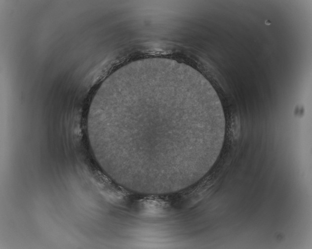 X0000113950512200911061306