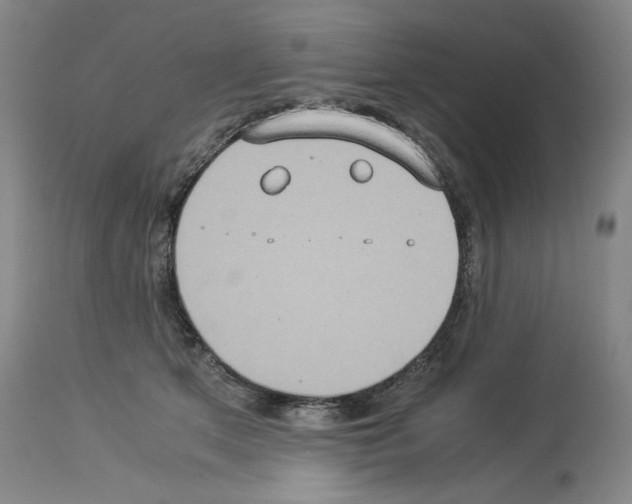 X0000113950513200911061306