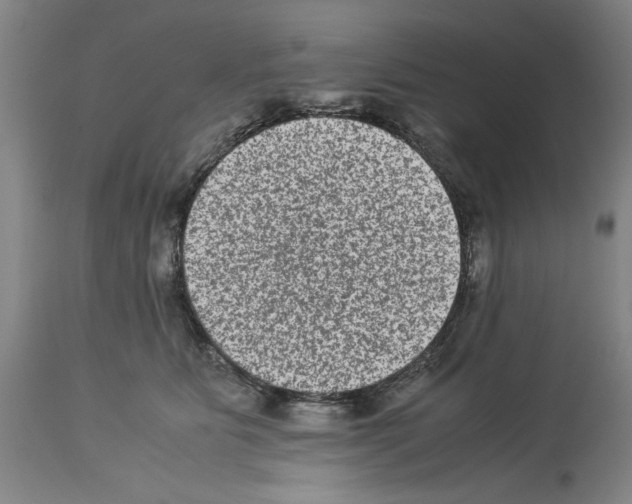 X0000113950515200911061306