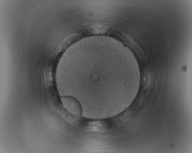 X0000113950516200911061306