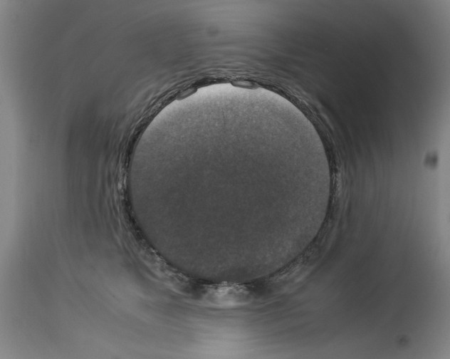 X0000113950517200911061306