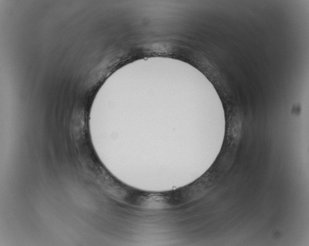 X0000113950518200911061306