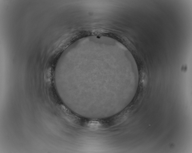 X0000113950519200911061306