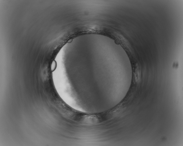 X0000113950520200911061306