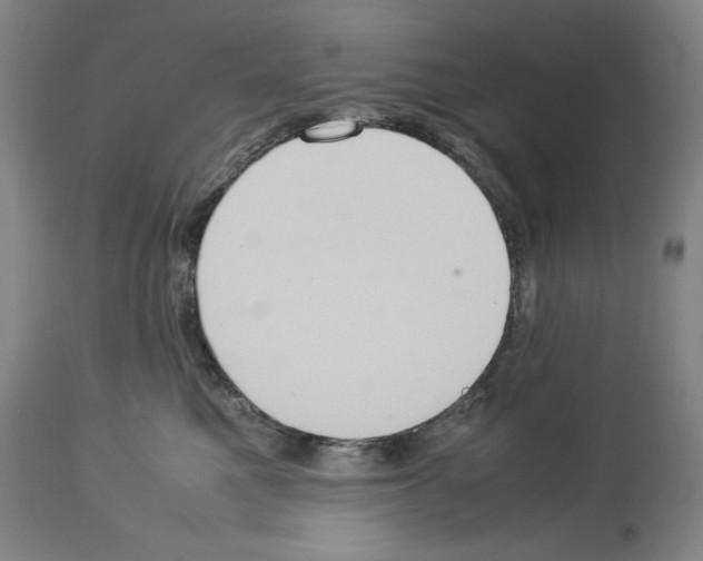 X0000113950521200911061306