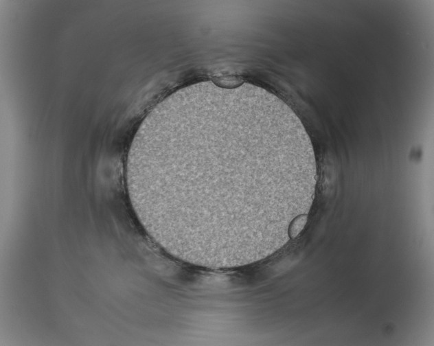 X0000113950523200911061306